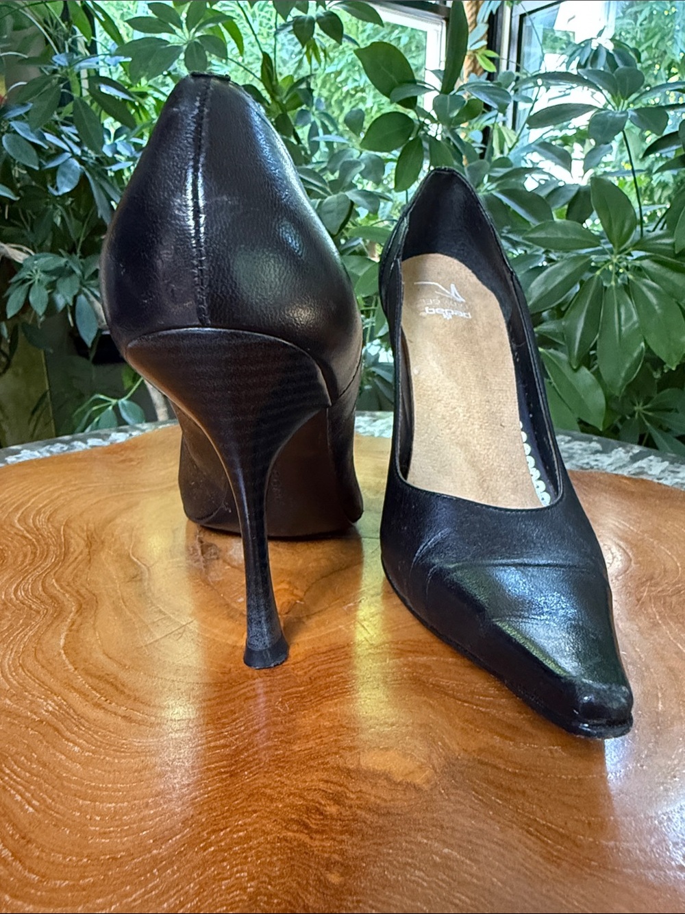 BCBGirls Black Pointed-Toe Stiletto Pumps